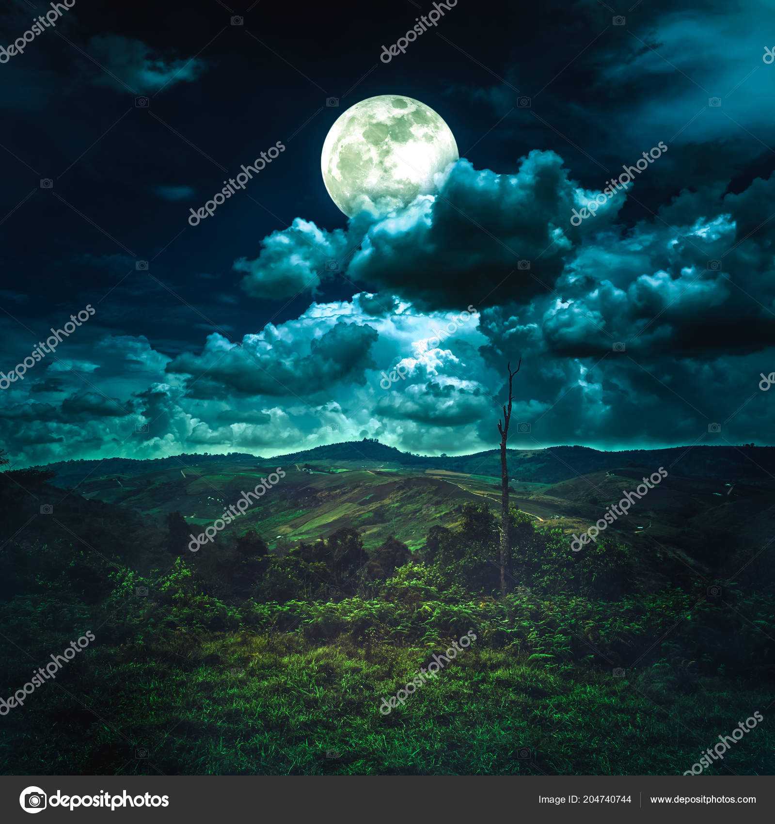 Beautiful Mountain Landscape Covered Green Tree Forest Amazing