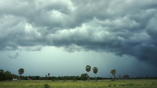 Landschap Video Achtergrond Donder Van Avond Een Veld Regen Bewolkt — Stockvideo