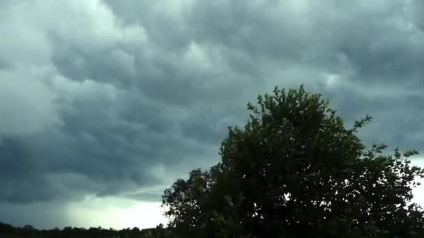 Τοπίο Φόντο Βίντεο Ισχυρός Άνεμος Φυσάει Σύννεφα Βροχής Και Τίναγμα — Αρχείο Βίντεο