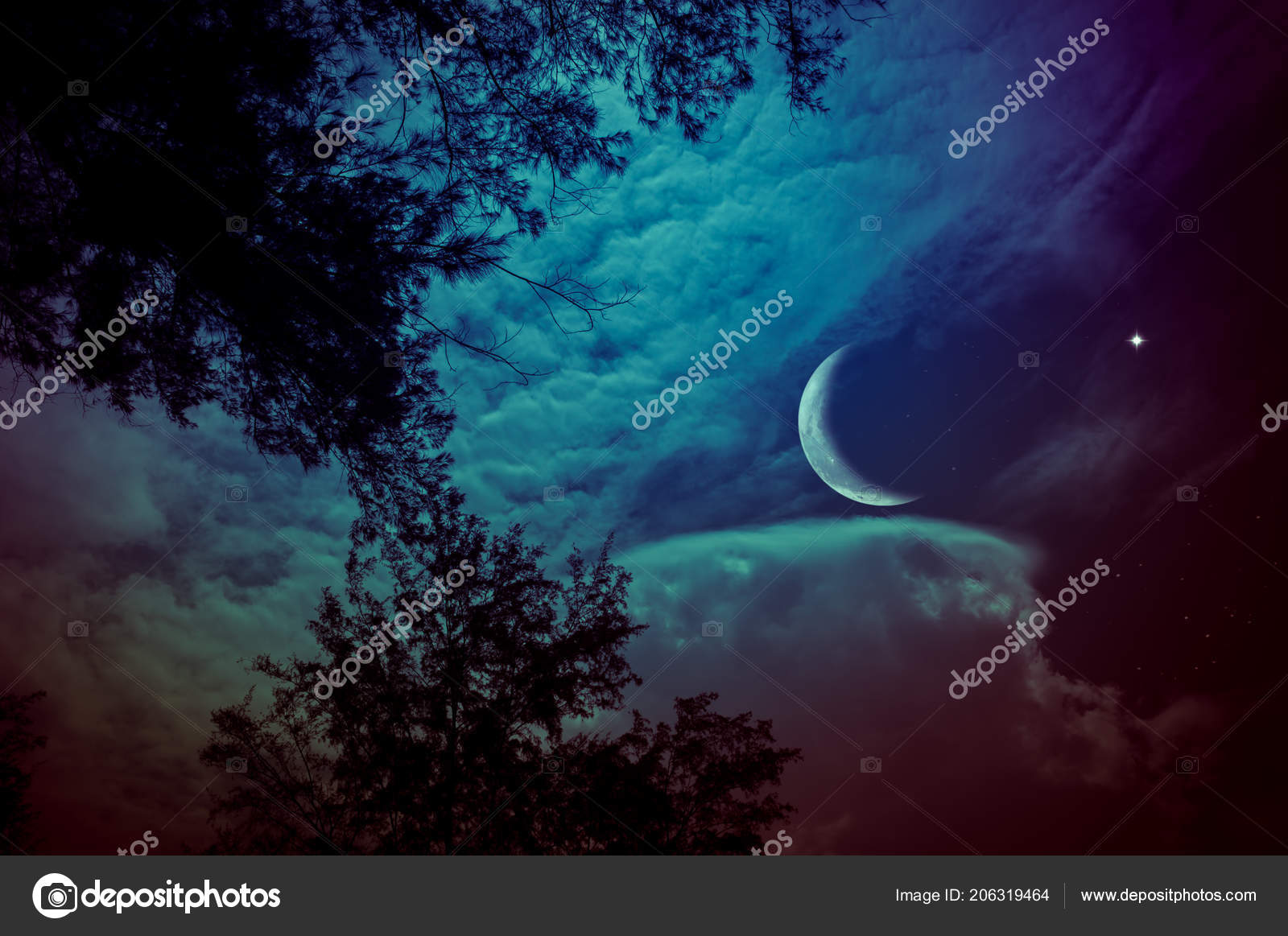 Attractive Crescent Moon Star Colorful Sky Silhouettes Trees Serenity Nature Stock Photo Image By C Kdshutterman Attractive Crescent Moon Star Colorful Sky Silhouettes Trees Serenity Nature Stock Photo Image By C Kdshutterman