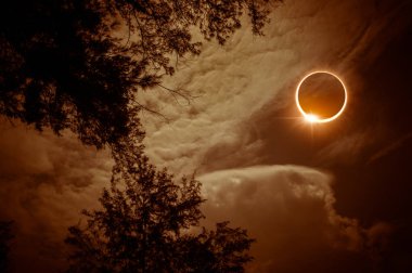 Şaşırtıcı bilimsel doğal olay. Elmas yüzük efektli ağaçlarının silhouettes yukarıda gökyüzü üzerinde parlayan güneş tutulması güneş kapsayan Moon. Serenity doğa arka plan.