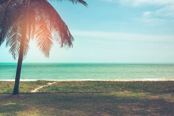 海滩景观 美丽的蓝天和太阳的光芒照耀在椰子棕榈的后面 宁静的自然背景 白天在户外 夏天白天阳光明媚 电影风格 — 图库照片
