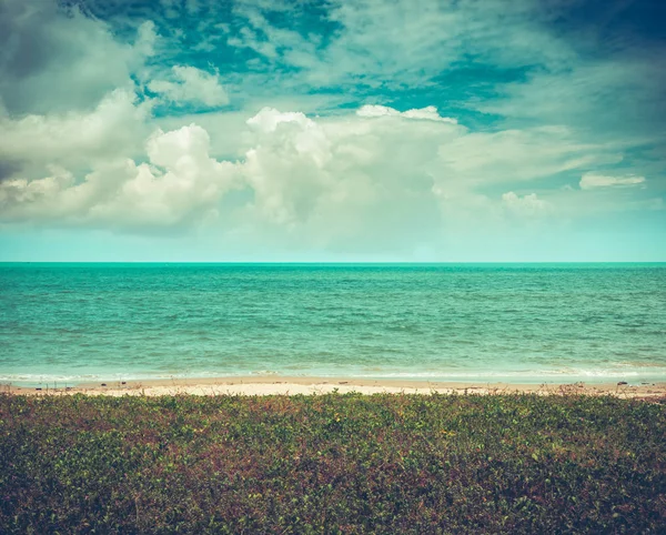 海滩景观 美丽的蓝天和多云的海面 宁静的自然背景 夏季白天户外阳光明媚 — 图库照片