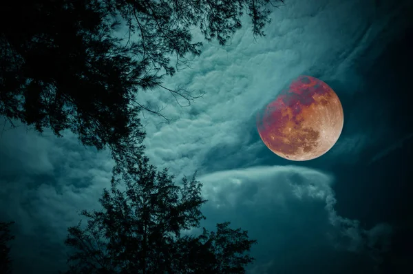 Attractive red super moon or blood moon on colorful sky above silhouettes of trees. Full moon behind partial cloudy. Serenity nature background. The moon taken with my camera.