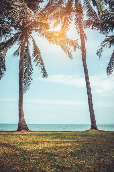 海滩景观 美丽的蓝天和太阳的光芒照耀在椰子棕榈的后面 白天在户外 夏天阳光明媚 老式胶片过滤效果 电影风格 — 图库照片