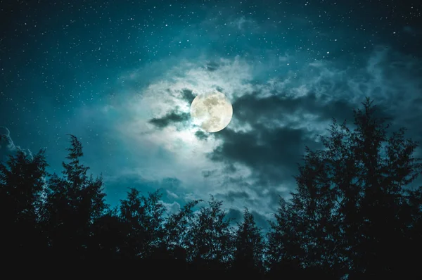 Beautiful Night Sky Many Stars Full Moon Partial Cloudy Silhouettes — Stock Photo, Image