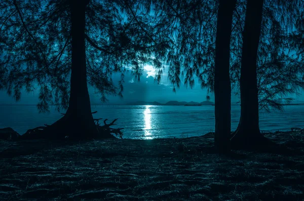 Gyönyörű Táj Éjszakai Égbolt Holdfény Mögött Részben Felhős Sziluettek Fák — Stock Fotó