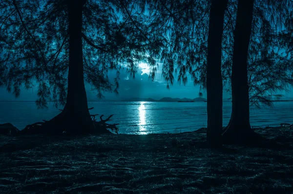 Vackra Landskap Natthimlen Och Månskenet Bakom Delvis Molnigt Och Silhuetter — Stockfoto