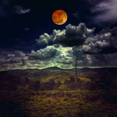 Güzel dağ manzarası ile yeşil ağaç orman, şaşırtıcı doğa kaplı. Kısmi sıradağları üzerinde bulutlu arkasında kırmızı ay ile gece gökyüzü. Serenity arka plan. Benim fotoğraf makinesi ile çekilen ay.
