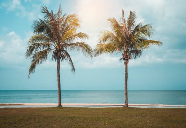 Manzara Beach. Güzel mavi gökyüzü ve bulutlar iki Hindistan cevizi avuç içi ile. Serenity doğa arka plan. Açık havada gündüz güneş ışığı ile yaz gününde. Yeşil ve turuncu filtre.