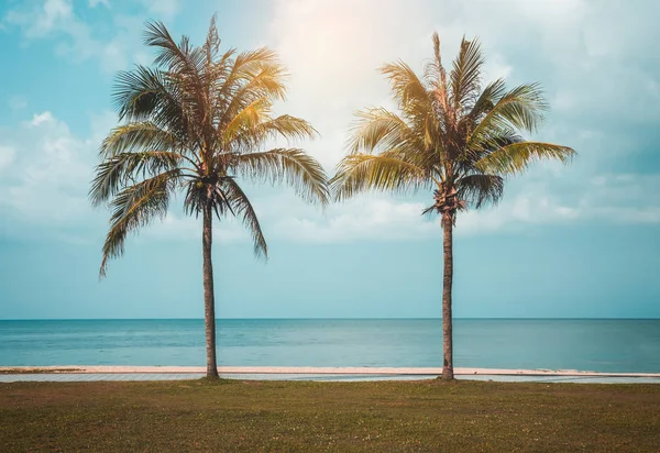 海滩景观 美丽的蓝天和云与两个椰子棕榈 宁静的自然背景 白天在户外 夏天白天阳光明媚 蓝绿色和橙色过滤器 — 图库照片