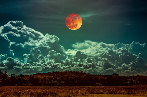 Belle Campagne Nuit Jolie Lune Sang Rouge Sur Ciel Sombre — Photo