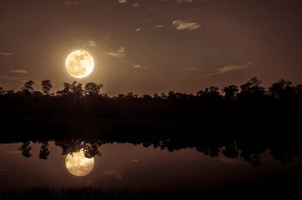 Cielo fantastico e luna piena luminosa sopra sagome di alberi e — Foto Stock