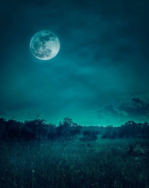 Bulutlar ile gece gökyüzü manzara. Ormanda vahşi alan üzerinde güzel parlak dolunay, huzur doğa arka plan. 