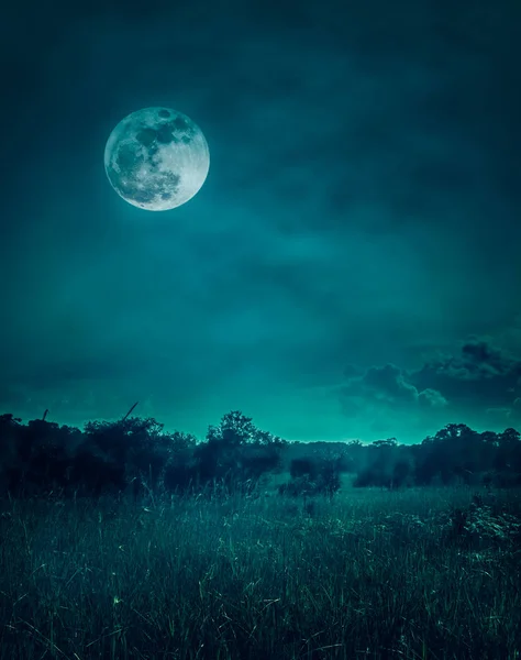 Paisaje del cielo nocturno con nublas.Hermosa luna llena brillante sobre el área silvestre en el bosque, serenidad fondo de la naturaleza . — Foto de Stock