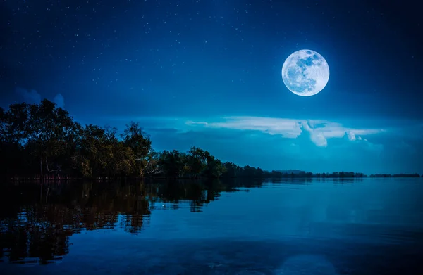 Belle pleine lune et nuageux au-dessus des silhouettes d'arbres, région du lac. Sérénité nature arrière-plan . — Photo