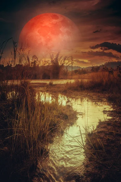 Paisaje por la noche en el lago del bosque con fogy y darknes — Foto de Stock