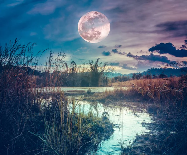 Пейзаж в нічний час в лісовому озері з і темними — стокове фото