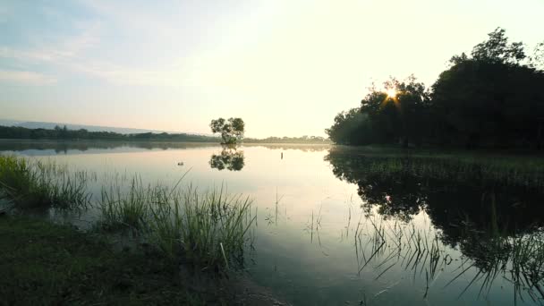 Γαλήνια Θέα Στη Λίμνη Την Αυγή Ομίχλη Πάνω Από Νερό — Αρχείο Βίντεο