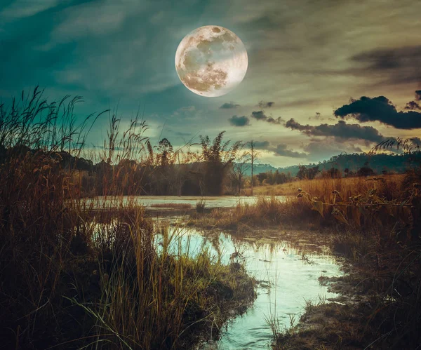 Paysage la nuit dans la forêt lac et obscurité ciel supe — Photo