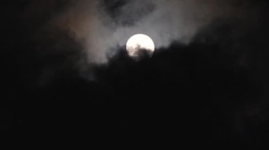 Karanlık gökyüzünde parlayan güzel dolunay. Hızlı hareket eden siyah bulutlar gerçek zamanlı olarak ayın üzerinden geçiyor. Ay bulutlar tarafından gizlendi. Gece vakti dışarıda..