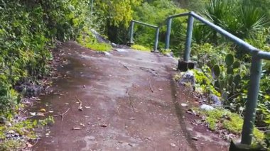 Pov-Gündüz güzel doğa ve güneş ışığı ile çevrili bir parkta bir yamaç aşağı yürüyüş.