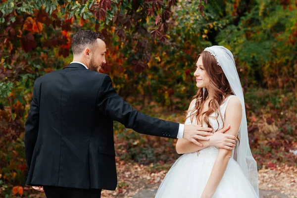 Paseo Bodas Una Hermosa Pareja Lujo Novia Vestido Blanco Boda —  Fotos de Stock