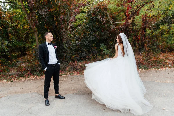 Wedding walk of a beautiful luxurious couple, the bride in a wedding white dress with a bouquet and the groom in a black suit in nature outdoors
