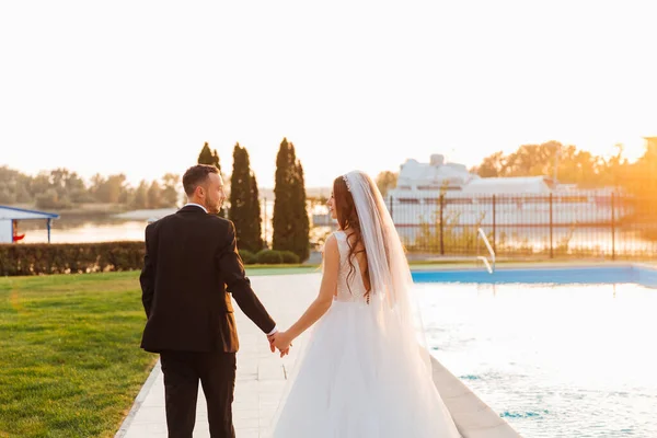 Hermosa Pareja Lujo Novio Traje Negro Novia Con Velo Vestido — Foto de Stock