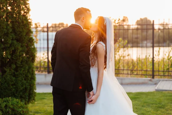 Schönes Luxuriöses Paar Der Bräutigam Schwarzen Anzug Und Die Braut — Stockfoto