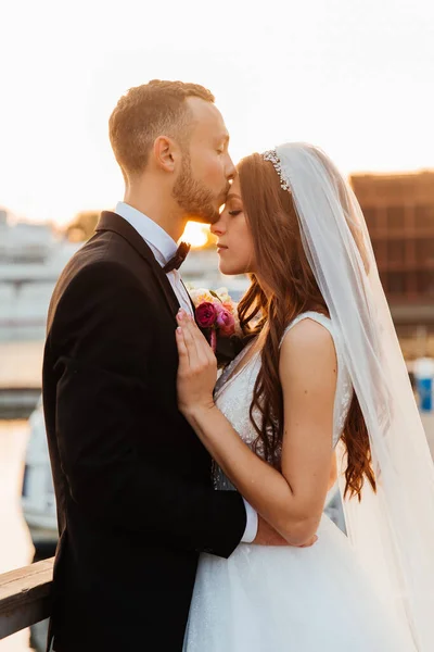 Vackra Lyxiga Par Brudgummen Svart Kostym Och Bruden Med Slöja — Stockfoto