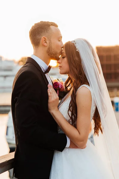 Schönes Luxuriöses Paar Der Bräutigam Schwarzen Anzug Und Die Braut — Stockfoto