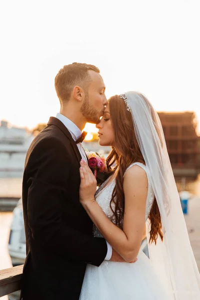 Bella Coppia Lusso Sposo Abito Nero Sposa Con Velo Abito — Foto Stock