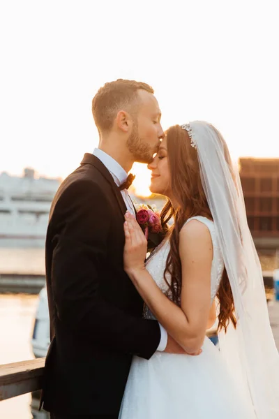 Hermosa Pareja Lujo Novio Traje Negro Novia Con Velo Vestido — Foto de Stock