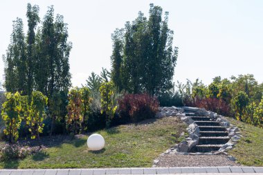 Çiçek ve şelale ile Roundabout