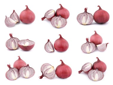 Beyaz üzerinde soğan izole