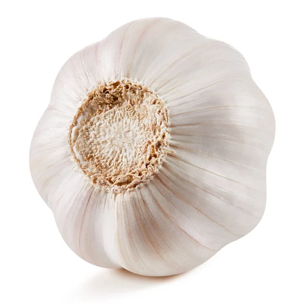 Sarımsak beyaza izole edilmiş
