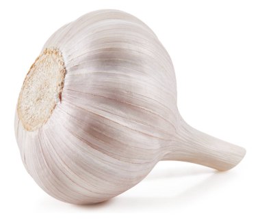 Sarımsak beyaza izole edilmiş