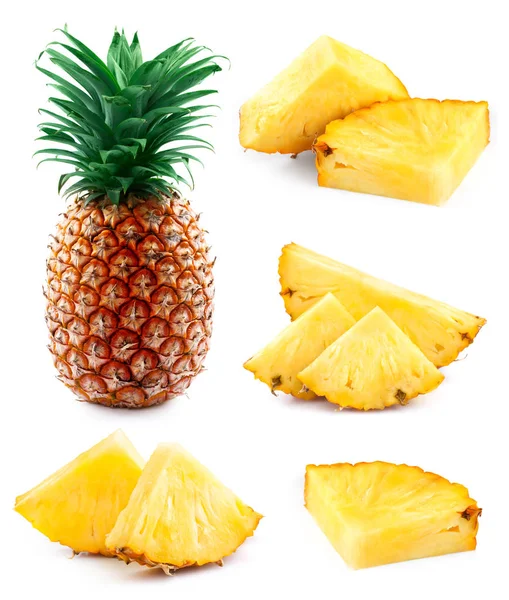ananas yaprak koleksiyonu