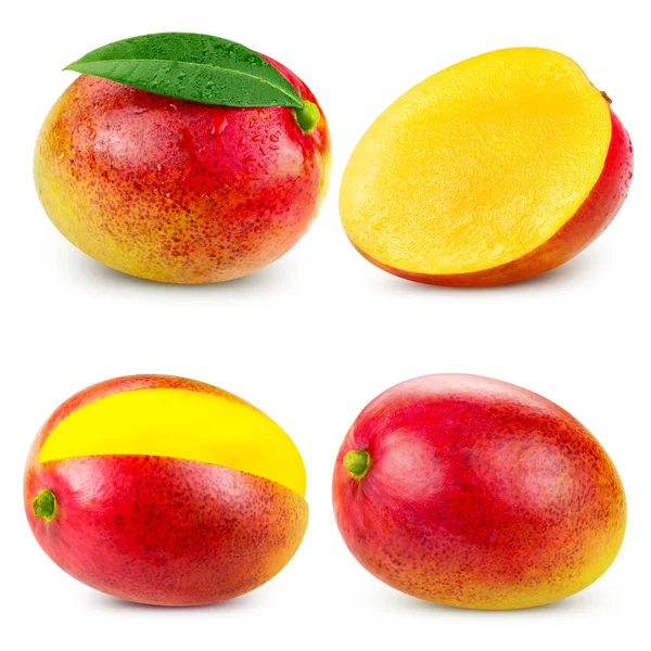 マンゴー果実の分離 — ストック写真