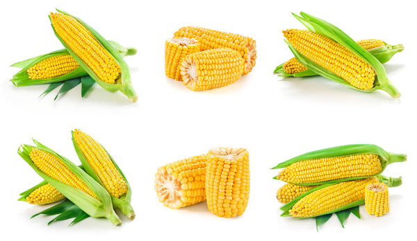 Corn on the cob kernels