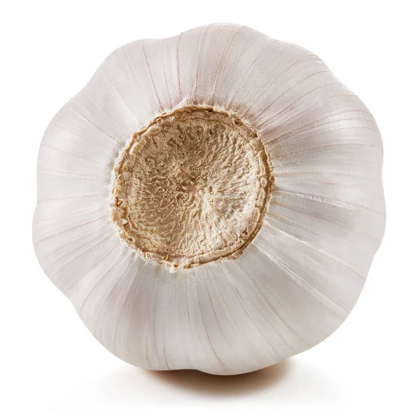Sarımsak beyaza izole edilmiş