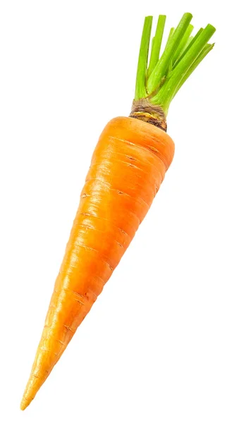 Καρότο απομονωμένο σε λευκό φόντο — Φωτογραφία Αρχείου