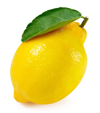 limon meyve yaprak