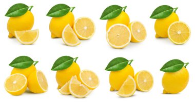 limon meyve yaprak
