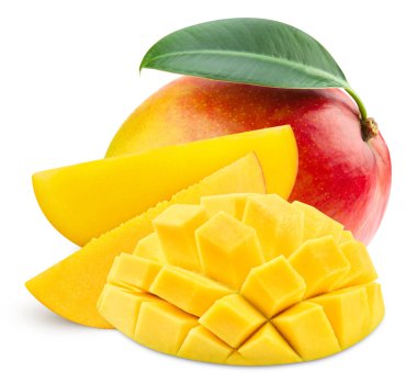 Mango yaprak izole