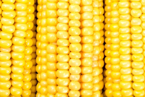 Kukorica a cob mag — Stock Fotó