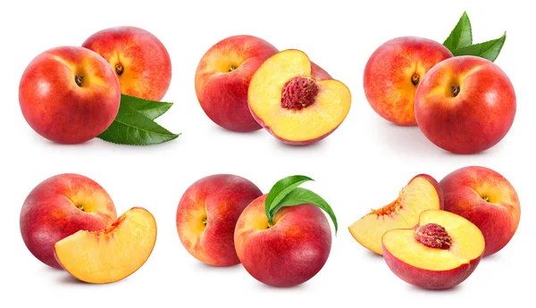 Коллекция персиковых фруктов — стоковое фото