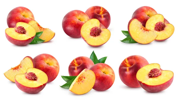 Peach fruits collection — Stock Photo, Image