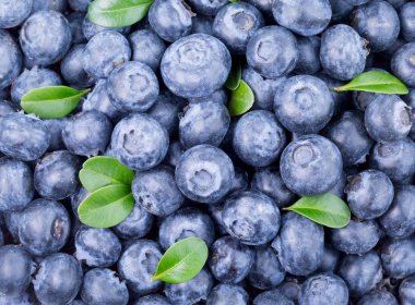 Taze toplanmış yaban mersini arka planı